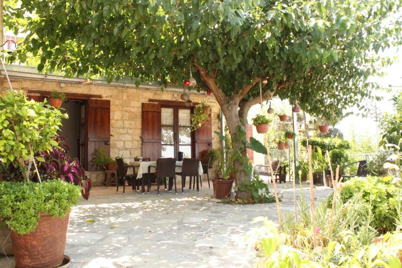 Bed and Breakfast Georgia'S House Fyti Exteriér fotografie